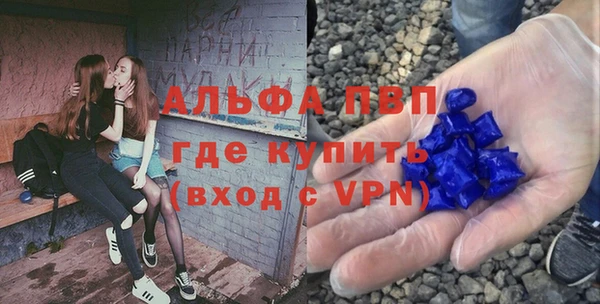 трава Няндома