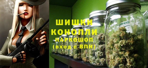 трава Няндома