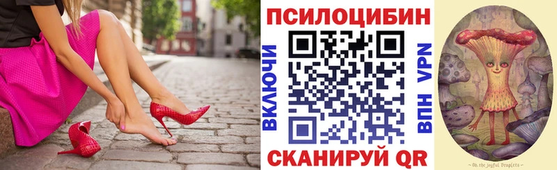 Галлюциногенные грибы Psilocybe закладка OMG ONION Мамадыш